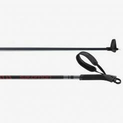 Salomon Escape Poles BLK
